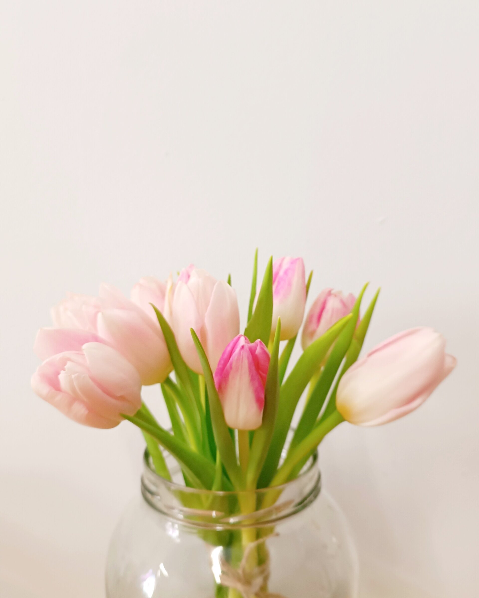 Ramo de 10 tulipanes pastel - 3