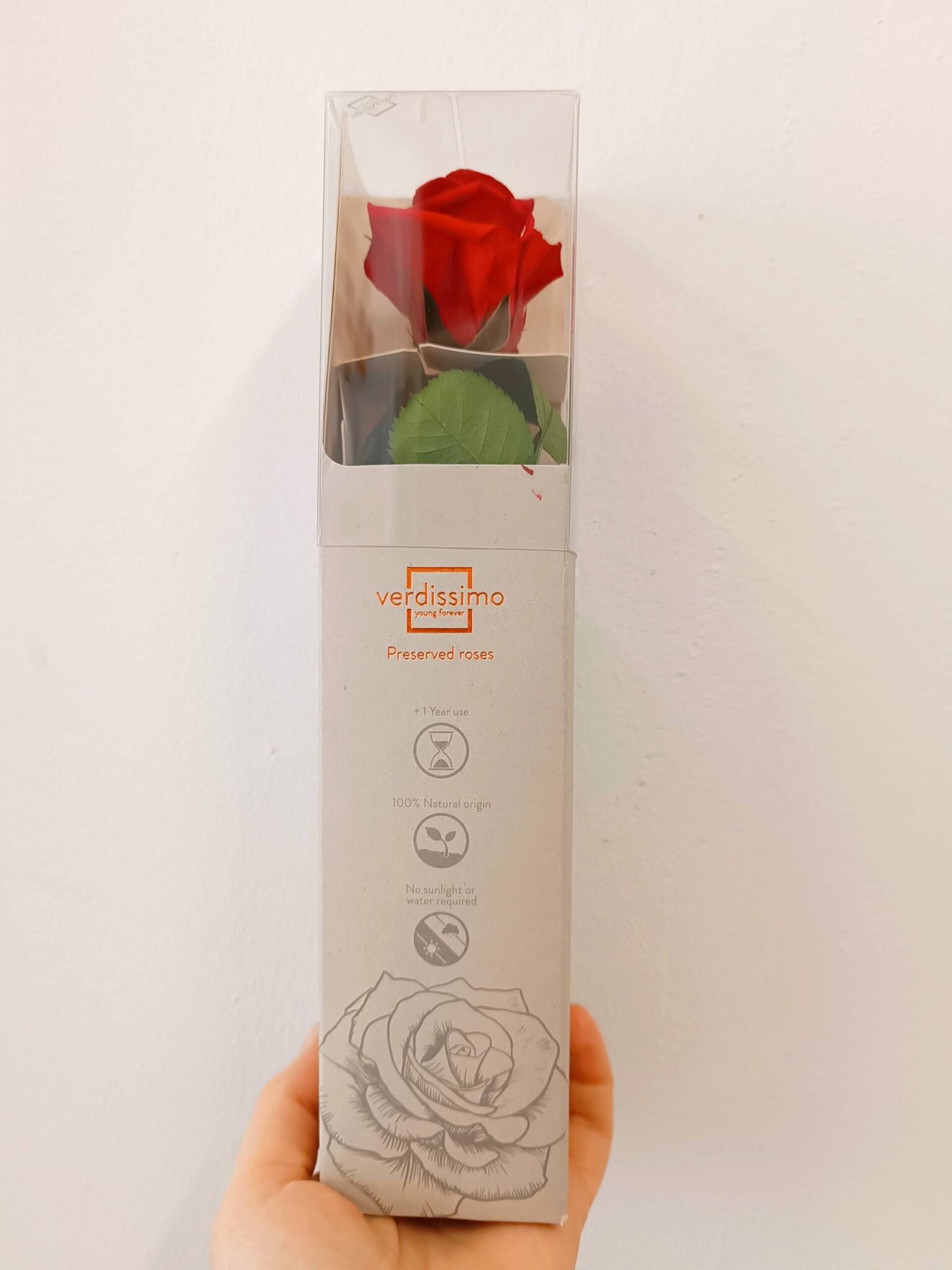 Rosa roja preservada roja o blanca - 3