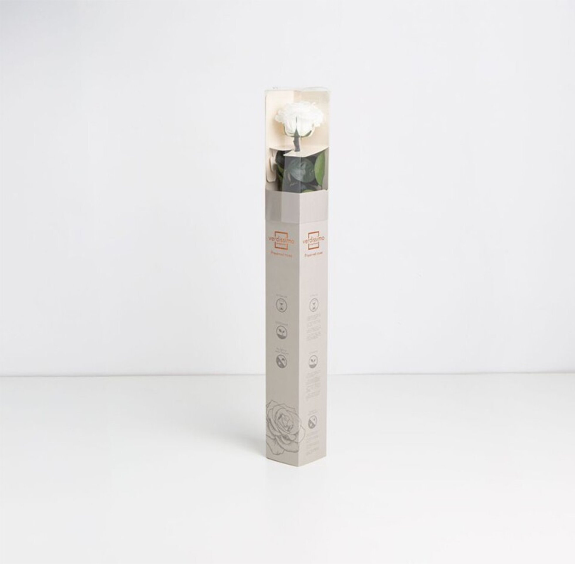 Rosa preservada blanca - 1