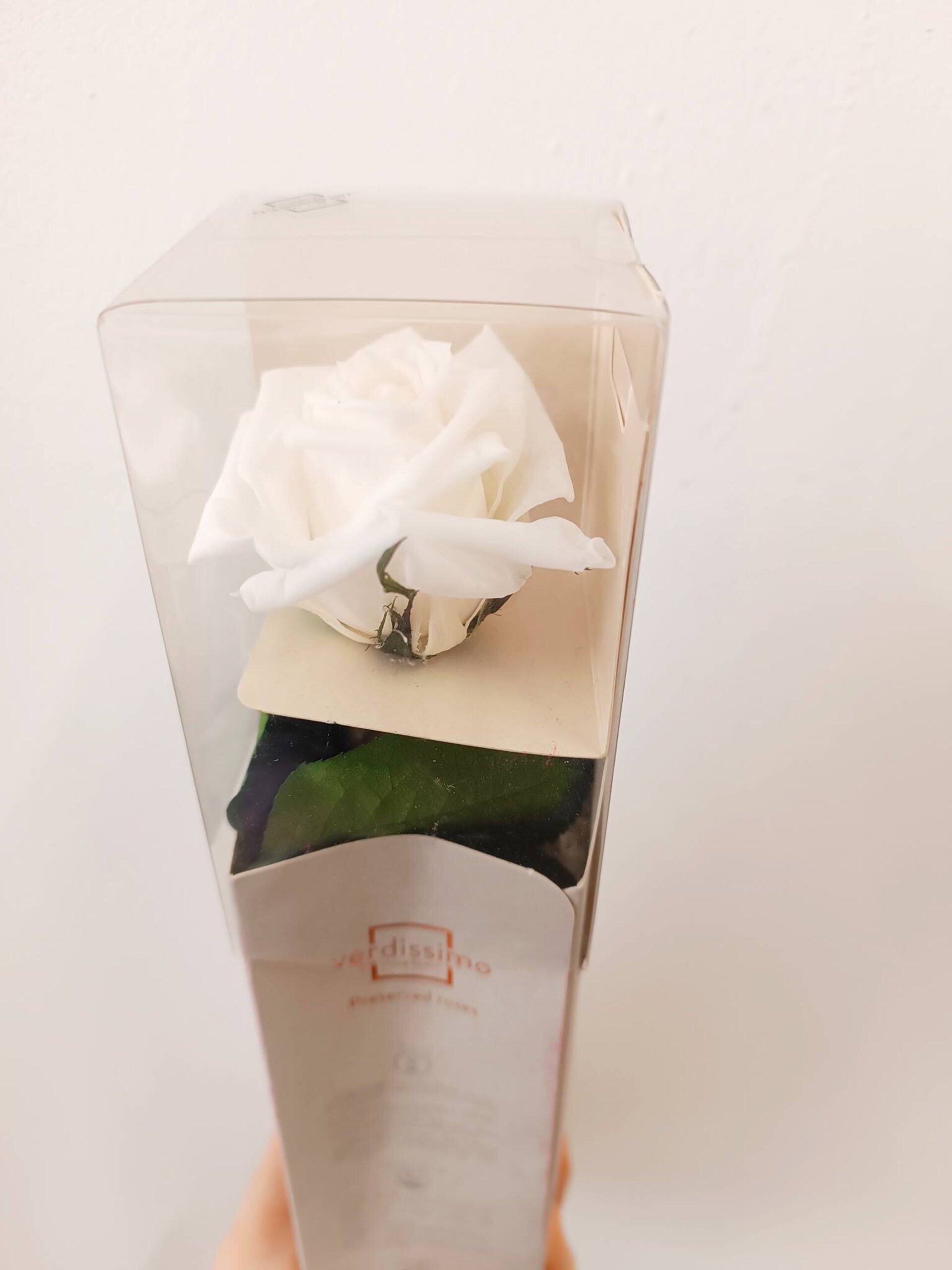 Rosa preservada blanca - 6