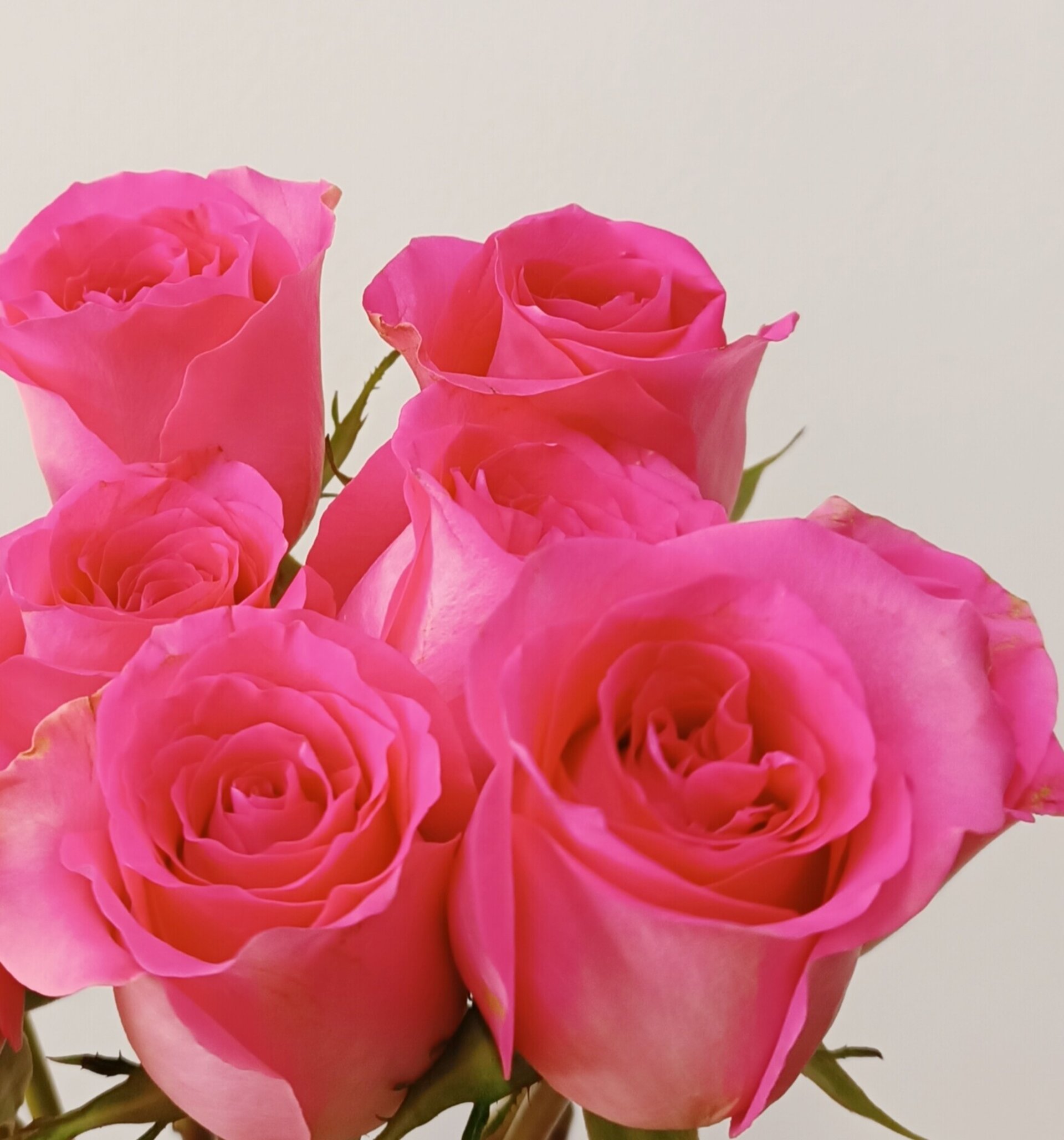 Ramo de rosas frescas pink - 2