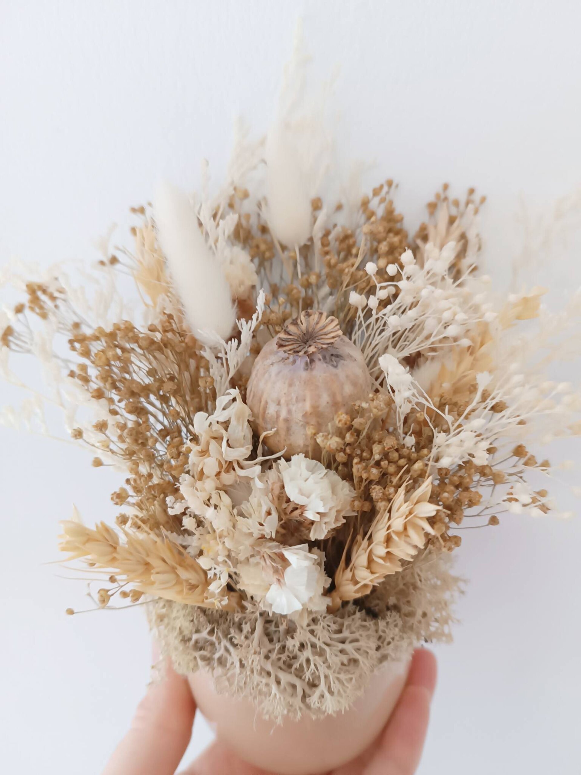 Macetita de flores secas beige - 2