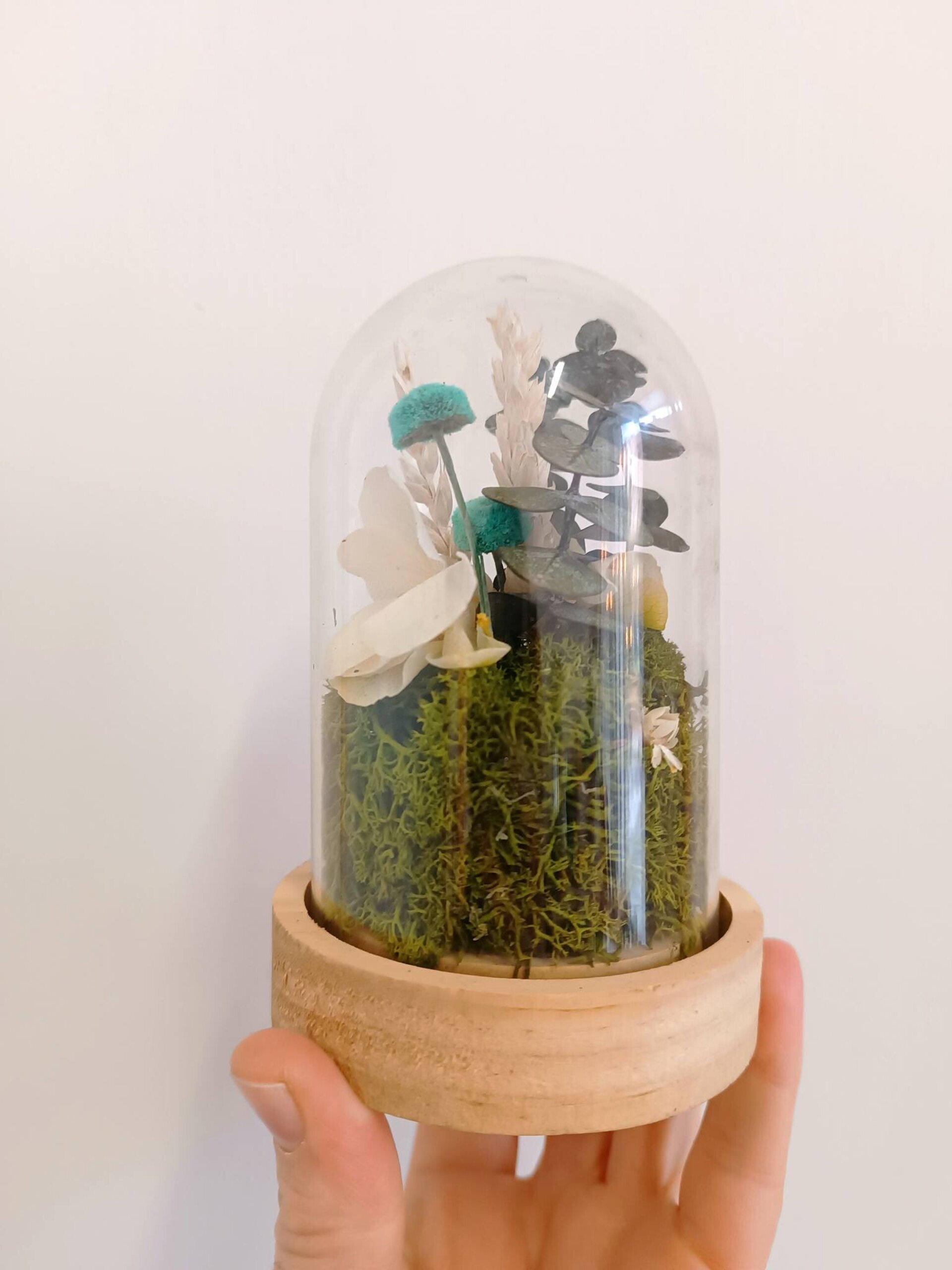 Cúpula de flores preservadas - 2