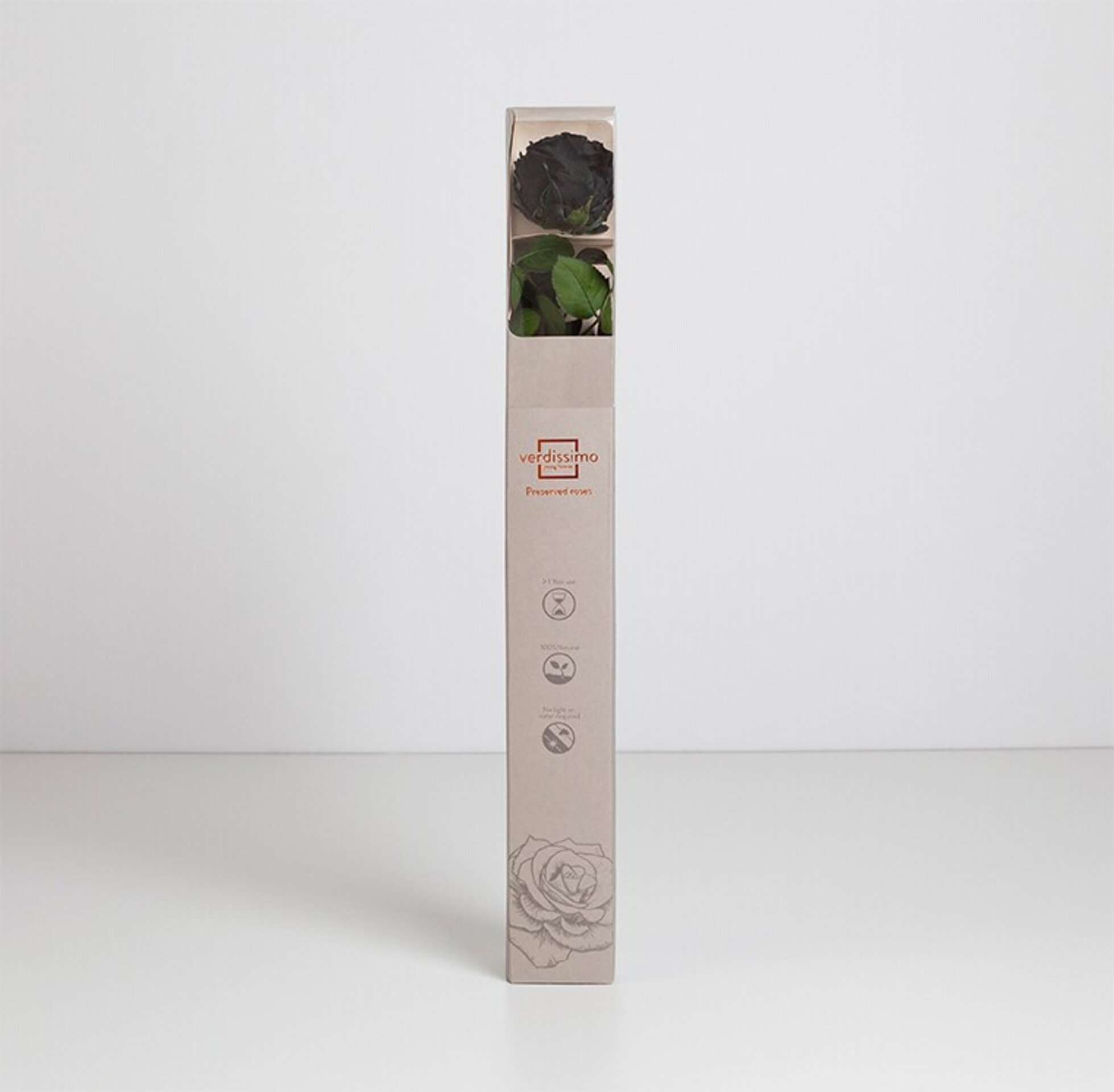 Rosa preservada negra - 1