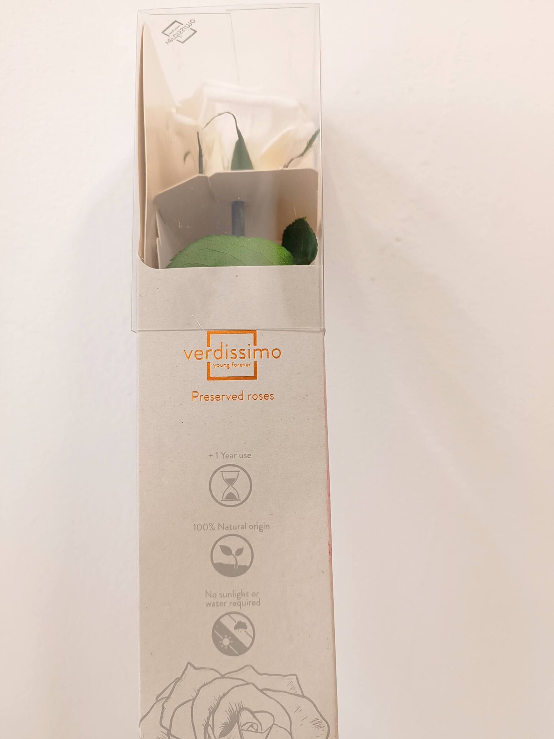 Rosa preservada blanca - 3